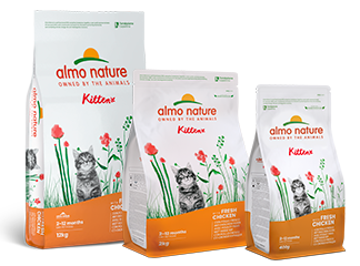 Cat Kibble